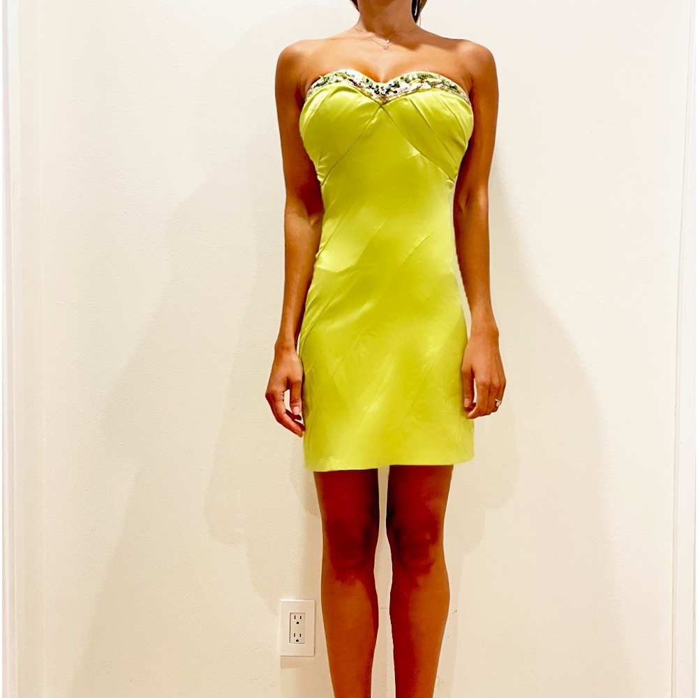 Light Green shiny dress